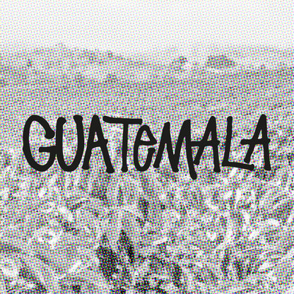 Guatemala Finca Barillas