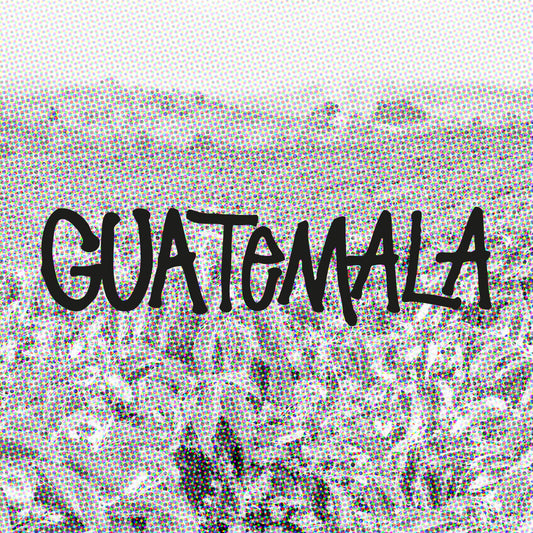 GUATEMALA FINCA BARILLAS